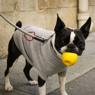 Dog sweater heather grey - to customize -