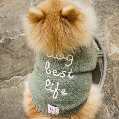 Dog sweater heather green - to customize -