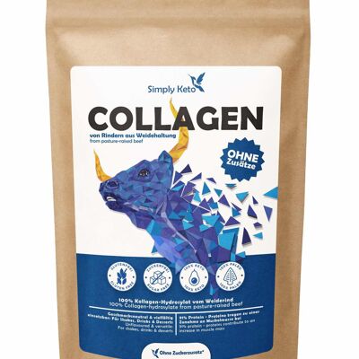 Proteine del collagene in polvere | Pascolo 450 g