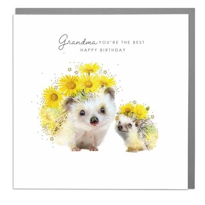 Hedghogs Grandma Birthday Card by Lola Design