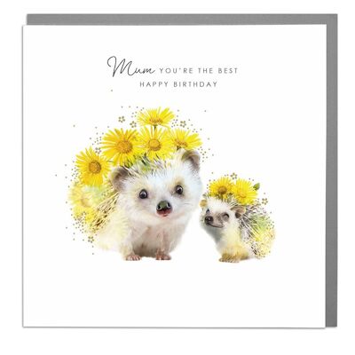 Hedghogs Mum Birthday Card by Lola Design