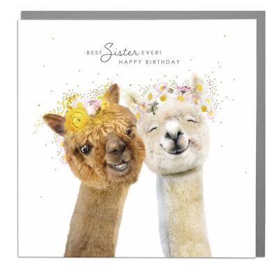 Alpacas Best Sister Ever Birthday Card by Lola Design