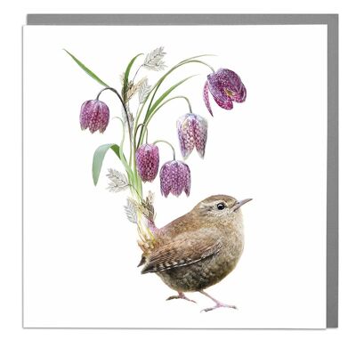 Wren Bird Card by Lola Design