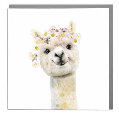 Alpacca Card by Lola Design