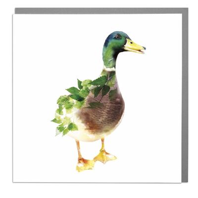 Mallard Duck Card by Lola Design