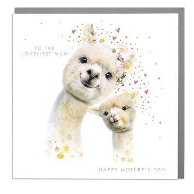 Alpacas To The Lovliest Mum Mother's Day Card by Lola Design