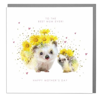 Hedgehogs To The Best Mum Ever Mother's Day Card by Lola Design