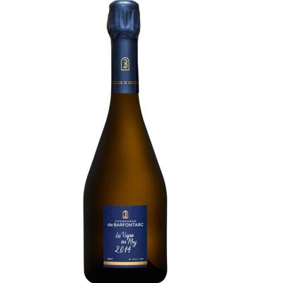 Champán - LA VIGNE AU ROY - Añada 2014 - Magnum 1.5 L