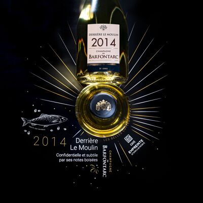 Champagner - HINTER LE MOULIN - Jahrgang 2016