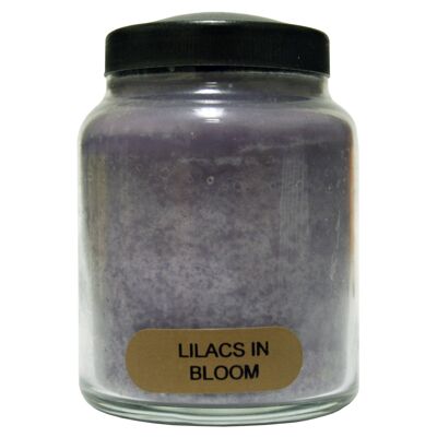 Vela de tarro para bebé de 6Oz Kotl - Lilas en flor