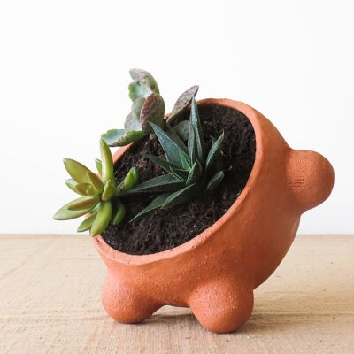 Floubert - emma/terracotta planter/red