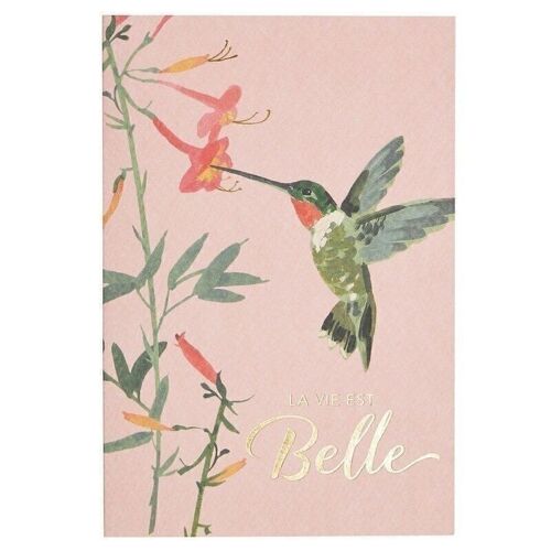 Carte flowerfull or a chaud - fleur colibri