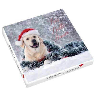 GREETING CARD RED CROSS BOX - LABRADOR