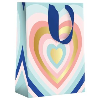 Sac cadeau grand format - pastel coeur