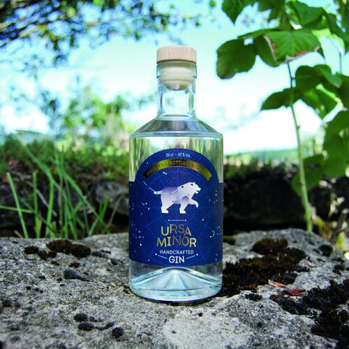 Gin Ursa Minor