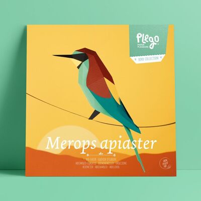 MEROPS APIASTER Kit figura di carta
