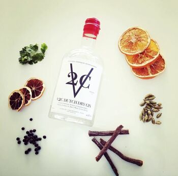 V2C Gin - Make it Memorable-Introduction Package 6