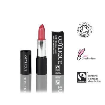 Rouge à lèvres n°10 - Rose Parfait 4.5g 1