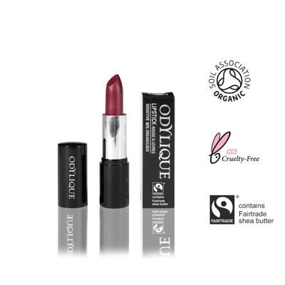 Rossetto n°12 - Coulis di lamponi 4.5g