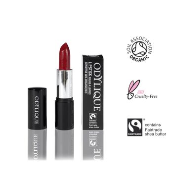 Rouge à lèvres n°16 - Tarte aux Cerises 4.5g 1