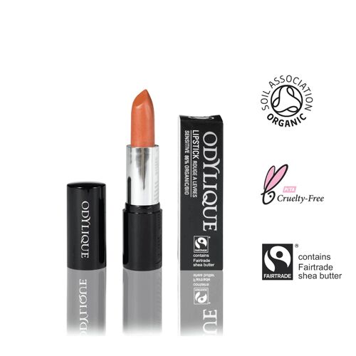 Lipstick n°17 -  Apricot Sorbet 4.5g