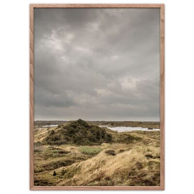 Dune heaths 29,7x42cm