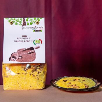 Polenta aux cèpes, BIO 250g — Repas italien vegan-OK sans gluten pour 5 personnes, prêt en 5 minutes 2