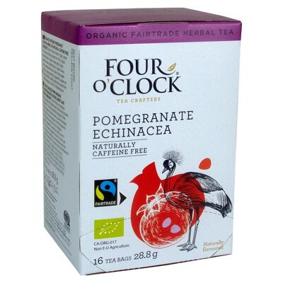 Four O'Clock POMEGRANATE ECHINACEA