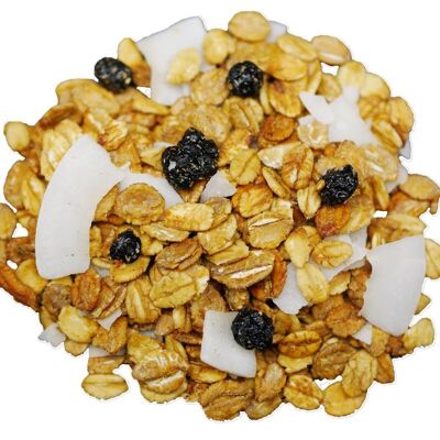 granola orgánica moras arándanos coco granel bolsa 5kg