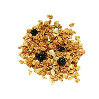 granola ecológica moras arándanos chocolate blanco granel bolsa 5kg