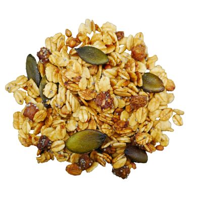 Granola ecológica Limones confitados granel bolsa 5kg