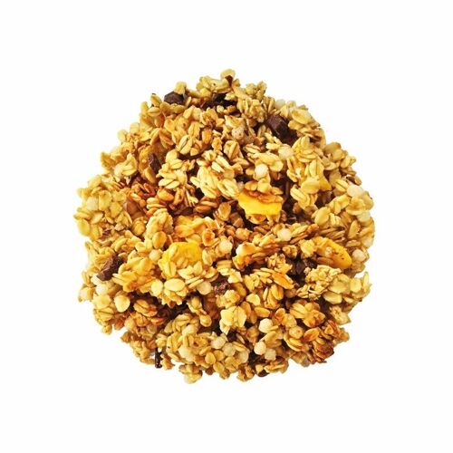 Croustillant bio Chocolat noisette sac vrac 4.5kg