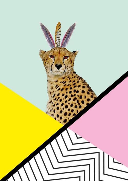 poster cheetah disco - A4