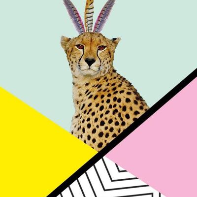 poster cheetah disco - A4
