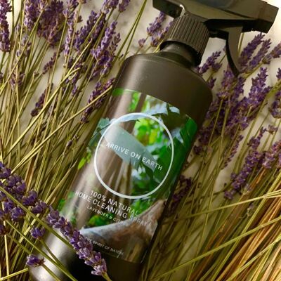 SPRAY PER LA PULIZIA DELLA CASA 100% NATURALE