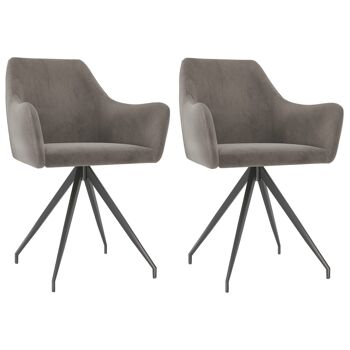 Homestoreking Chaises de salle à manger 2 pcs velours gris clair 14