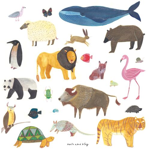 Animals - 50x50 cm - Print