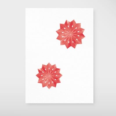 Carte postale "Poinsettia"