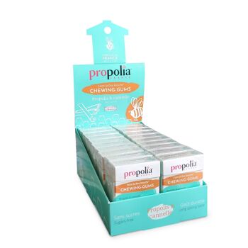 Chewing-gum - Propolis & Cannelle  - Présentoir de  20 boîtes 7