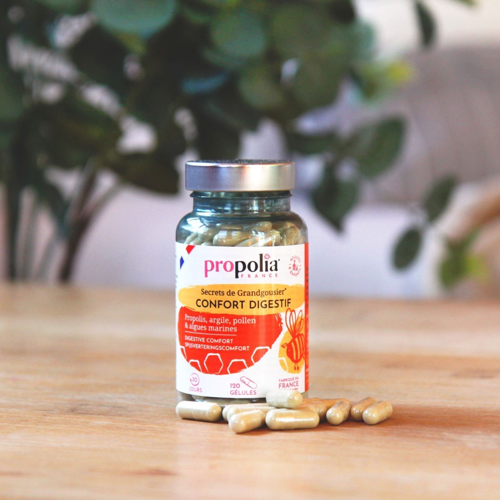 CAPSULE DI COMFORT DIGESTIVO - Propoli, argilla, polline e alghe - 120 capsule