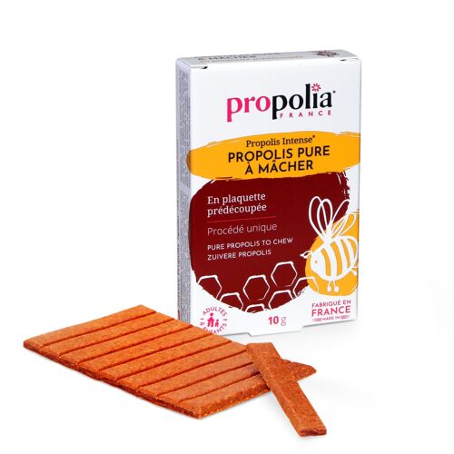 Propolis à mâcher - 100% Propolis - 10 g