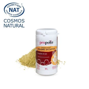 Poudre Siccative de Propolis - 100% Propolis Purifiée Micronisée 7