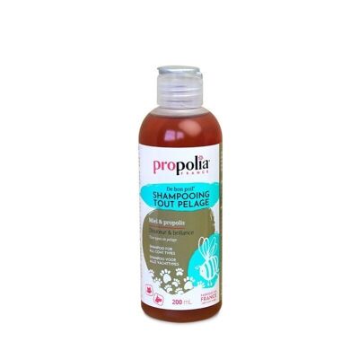 Shampoing tout pelage - Miel & Propolis (Animaux) - 200 ml