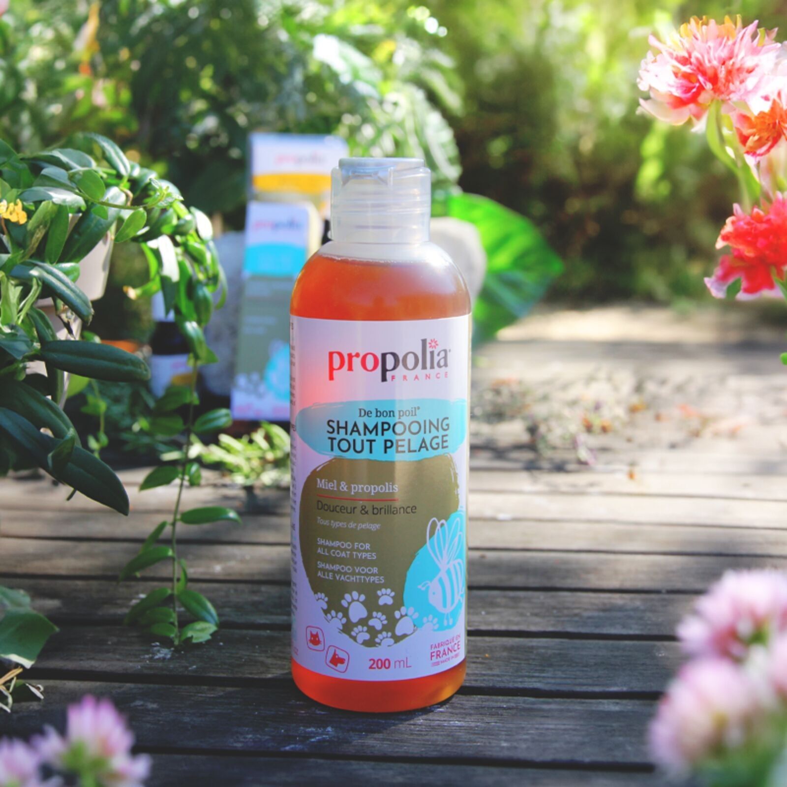 Shampoo per tutti i peli - Miele & Propoli (Animali) - 200 ml