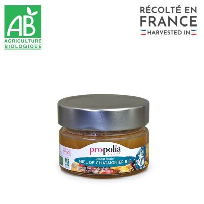 ORGANIC CHESTNUT HONEY - 125 gr