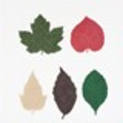 SIWA leaf bookmark , 5 assorted types         5 assorted colours
