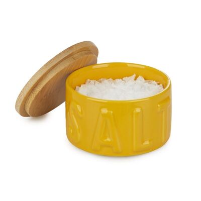 Salière fleur de sel-Salière en flocons-Boîte pour sel en flocons-Box für Salz, Sel jaune