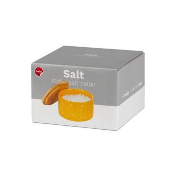 Salière fleur de sel-Salière en flocons-Boîte pour sel en flocons-Box für Salz, Sel jaune 3