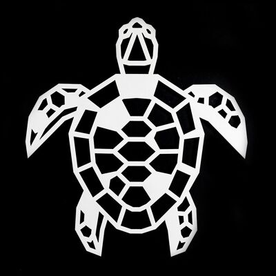 Wooden Turtle • White • Extra Large • 530 x 490mm