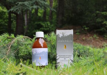 Lagripolis - Sirop de sapin du Canigou & Propolis Bio 1